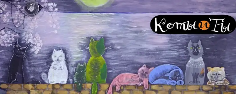 Коты и ты
